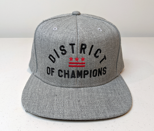 Washington DC District of Champions Flag Snap Back Hat