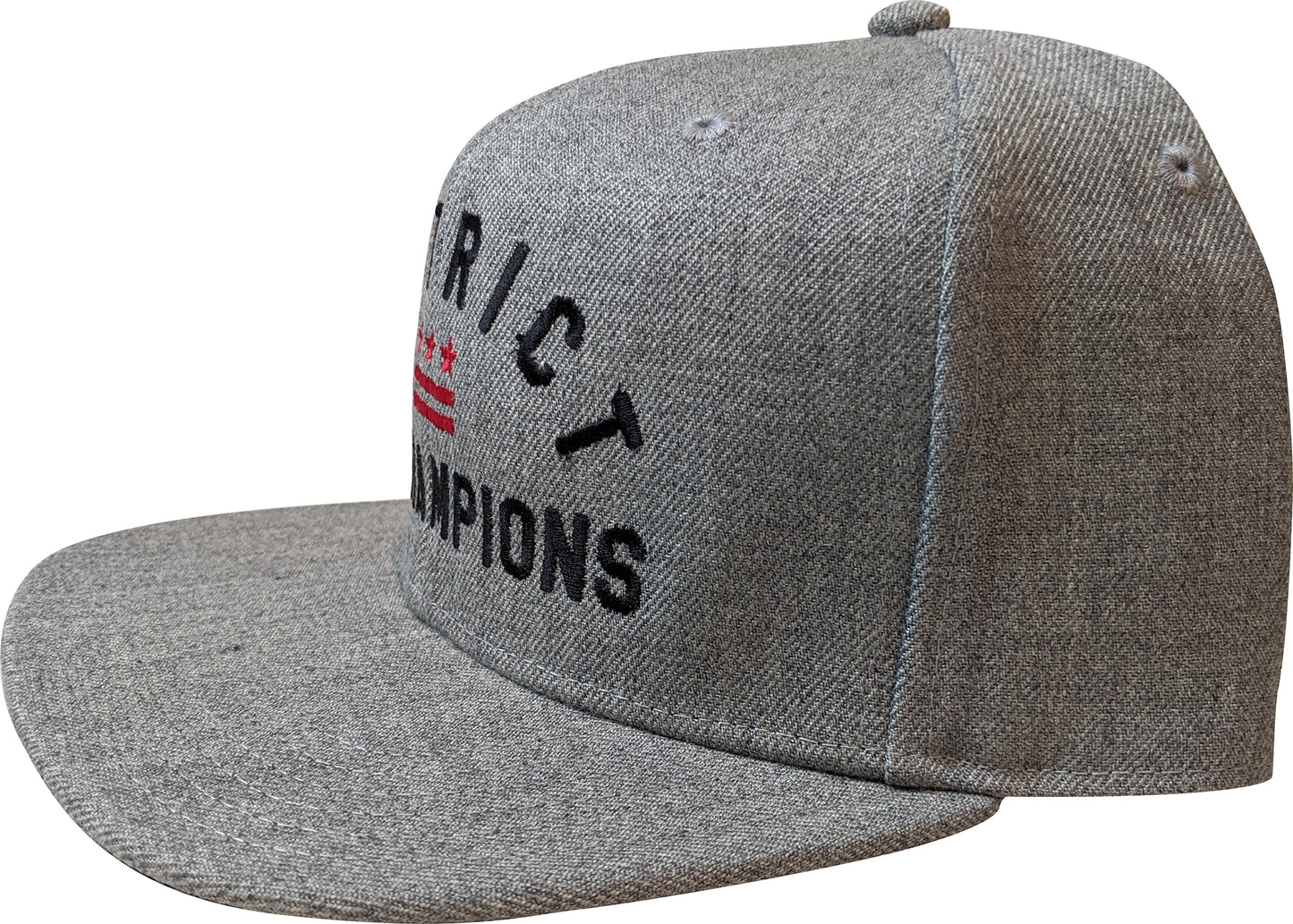 Washington DC District of Champions Flag Snap Back Hat