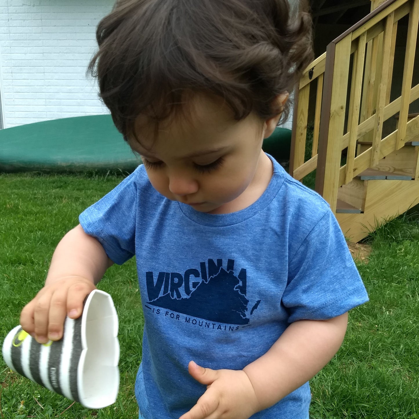 Virginia Is For Mountains Baby & Toddler T-shirt