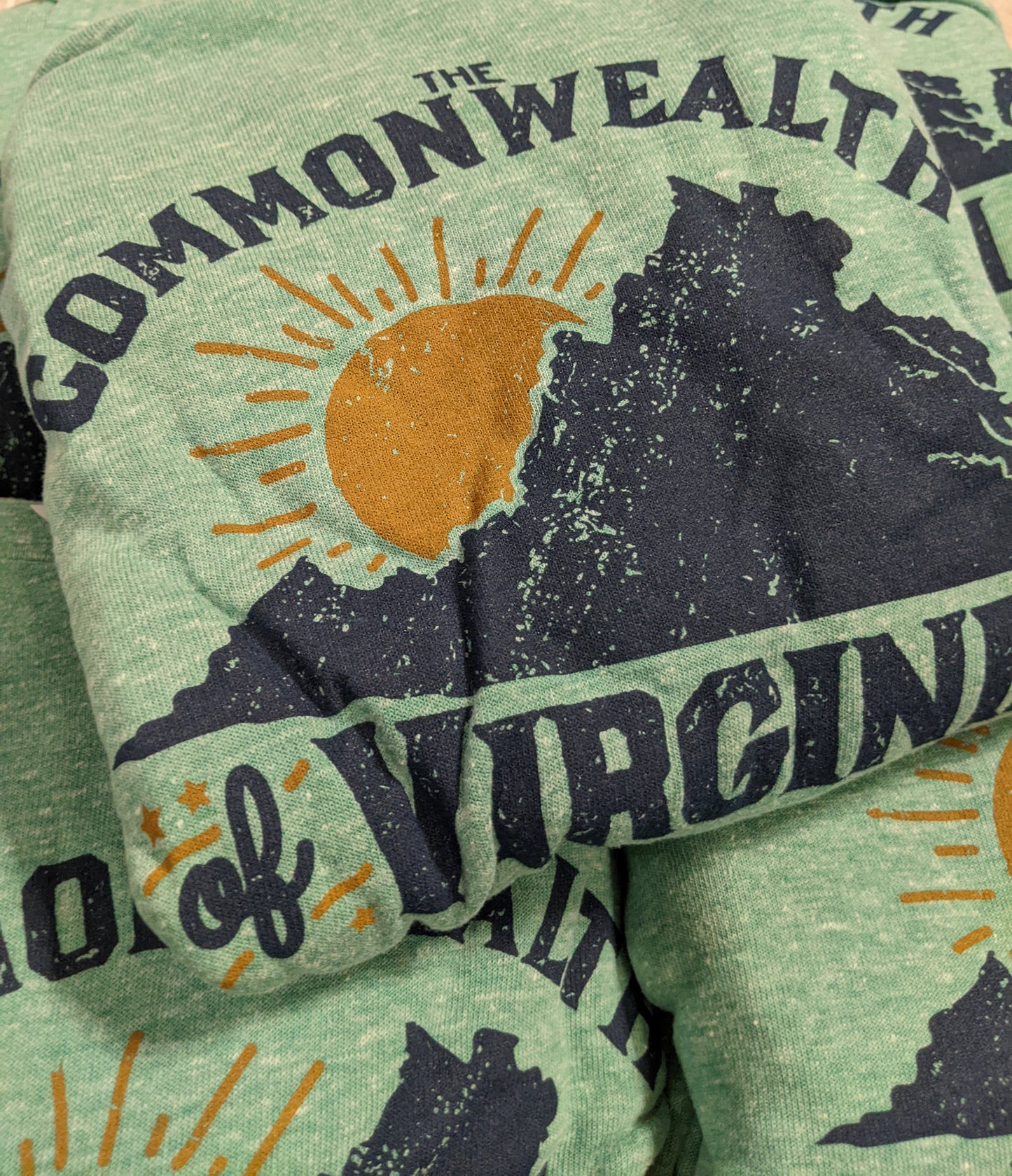 The Commonwealth of Virginia Hoodie Sweatshirt
