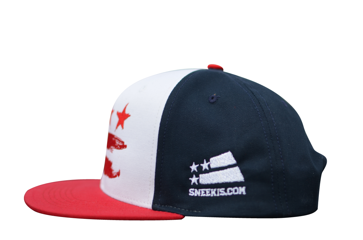 The district of columbia hat